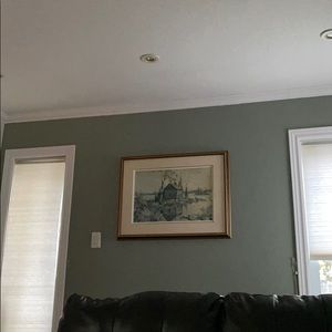 Meet your Posher, Shane